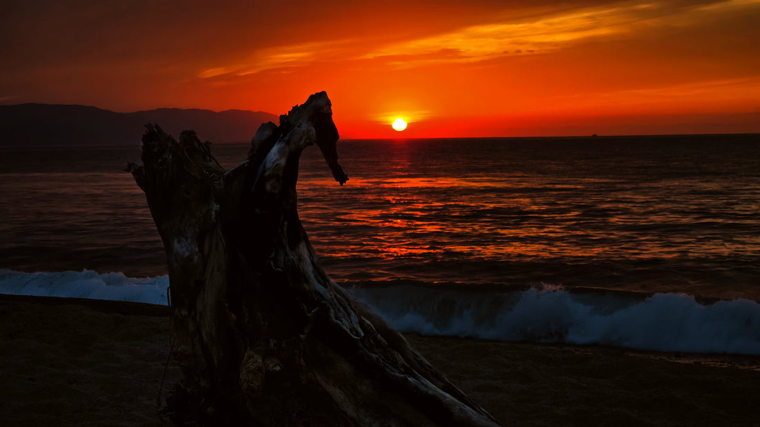 Unfiltered Horizon: How Moving West Changed the Way I See the Sky