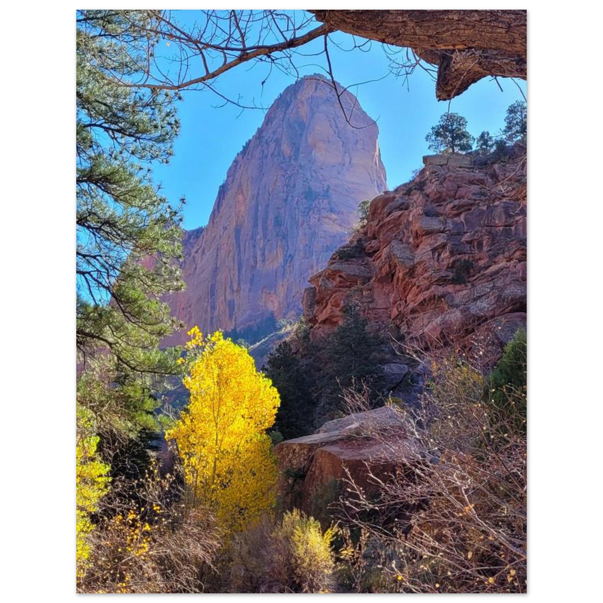 65f171ef-ed64-48f5-ba08-0f01e7bd35ae