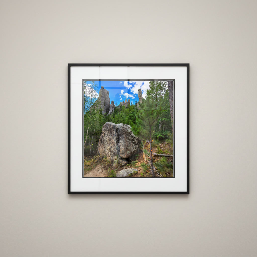 Fine art landscape photo print of granite spires and pine trees at The Needles in Custer State Park, South Dakota.
