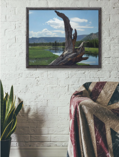 Yellowstone Madison River & Driftwood Fine Art Print