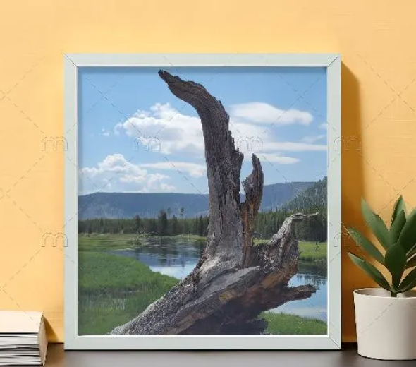 Yellowstone Madison River & Driftwood Fine Art Print
