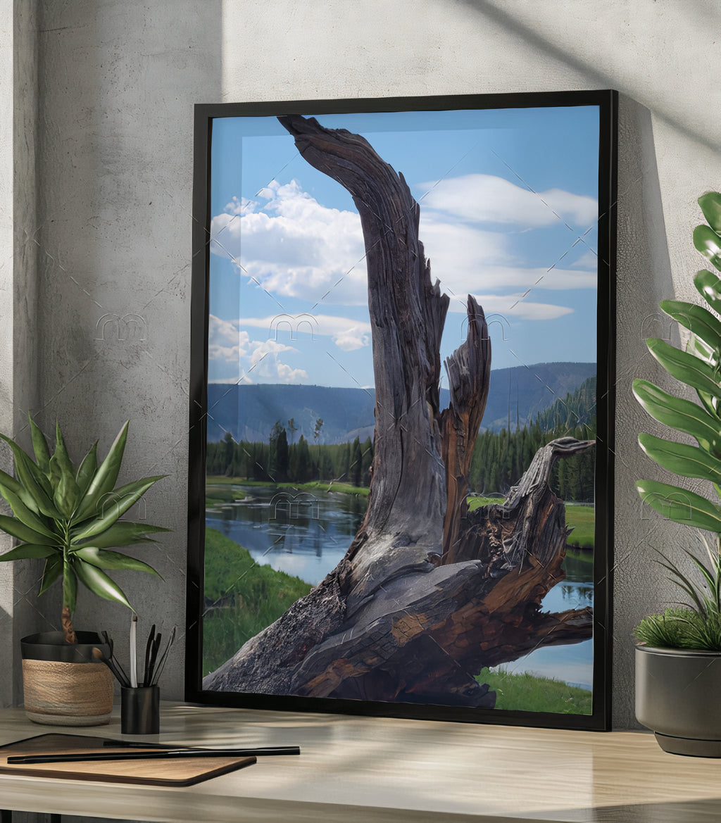 Yellowstone Madison River & Driftwood Fine Art Print