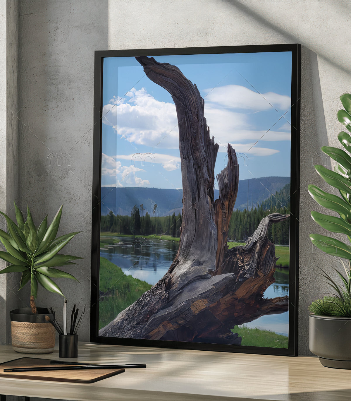 Yellowstone Madison River & Driftwood Fine Art Print