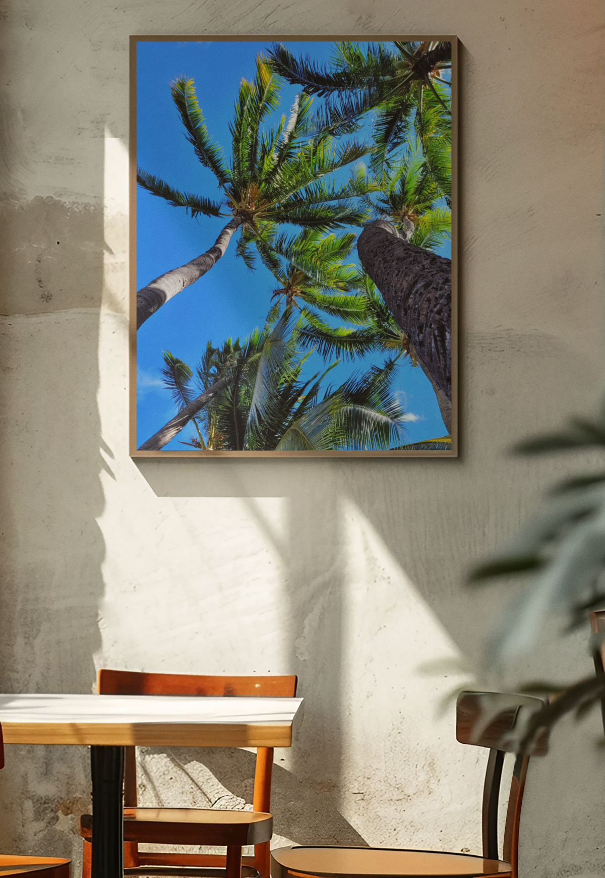 Tropical Palm Tree Canopy Photography Print, Coastal Fine Art Wall Art, Hawaiian Beach House Decor