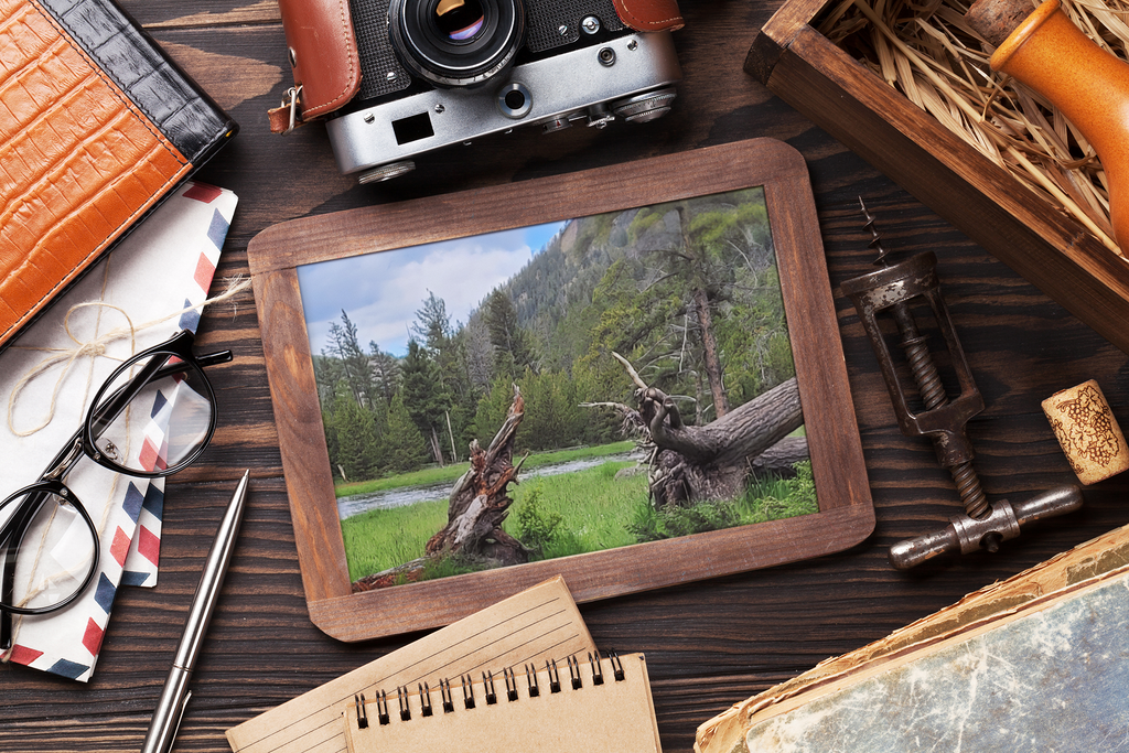 Yellowstone National Park Meadow & River Photo Print | Rustic Pine Forest & Fallen Tree Landscape Wall Art