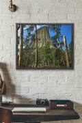 Devils Tower National Monument Photography Print | Wyoming Forest Landscape Wall Art
