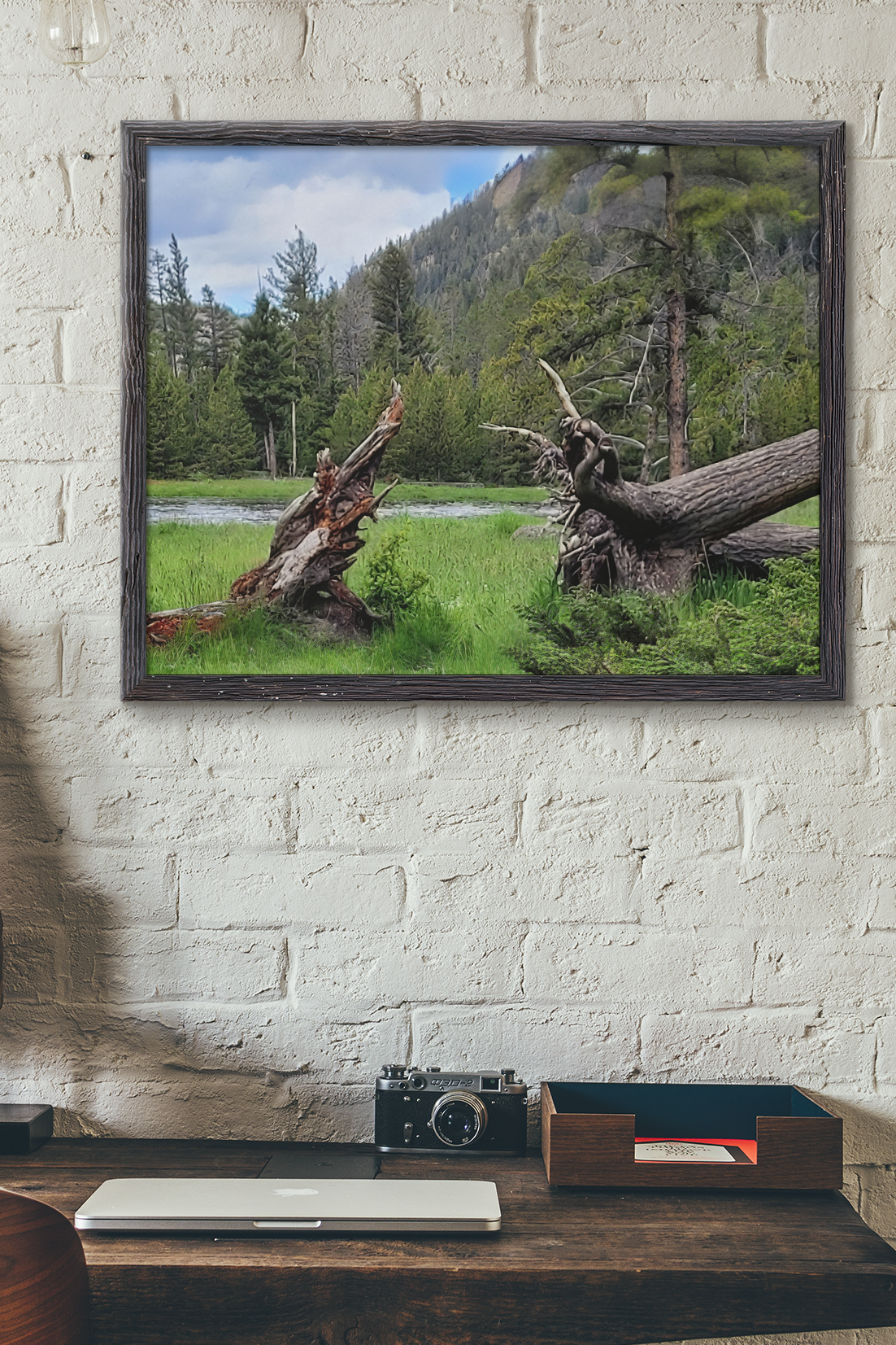 Yellowstone National Park Meadow & River Photo Print | Rustic Pine Forest & Fallen Tree Landscape Wall Art