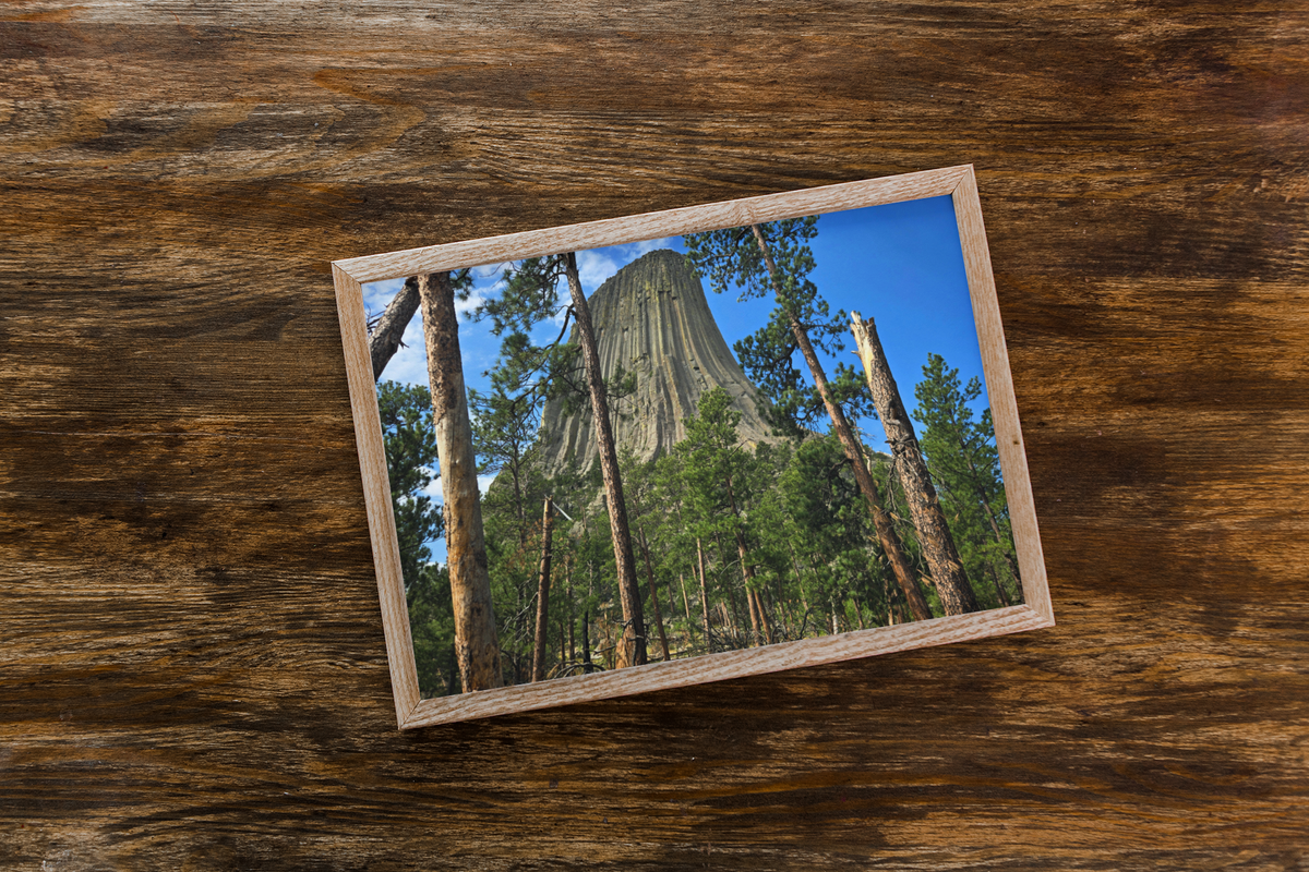Devils Tower National Monument Photography Print | Wyoming Forest Landscape Wall Art