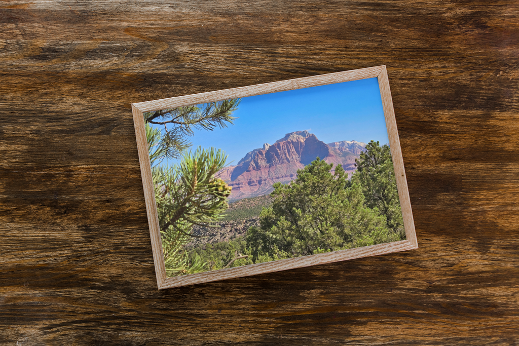 The Watchman Zion Print | Utah Red Rocks & Pine Tree Landscape | Zion National Park Wall Art | Southwest Desert Fine Art Poster