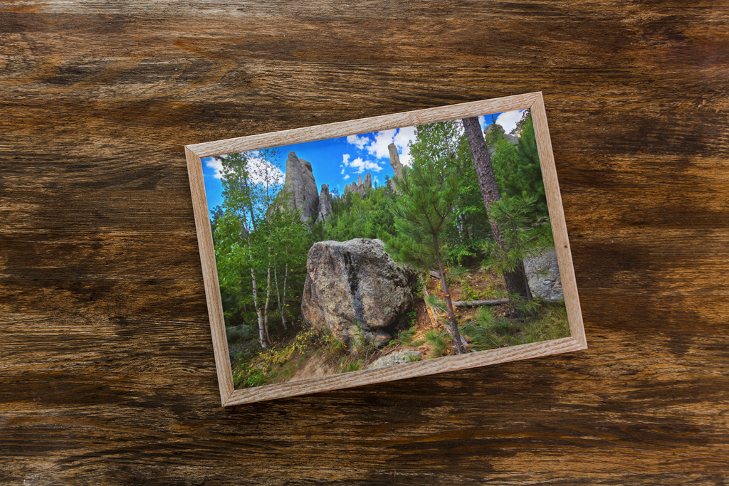 The Needles Custer State Park Photography Print | Black Hills Wall Art