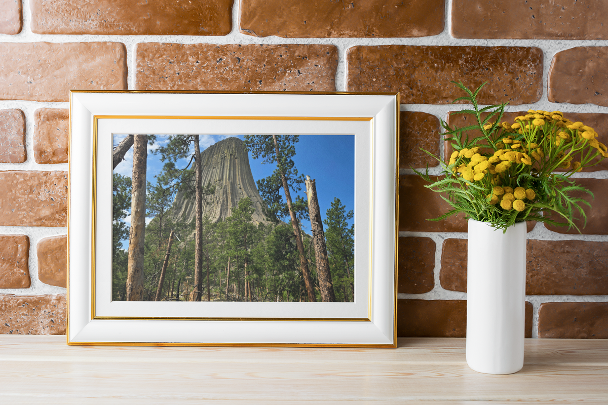 Devils Tower National Monument Photography Print | Wyoming Forest Landscape Wall Art