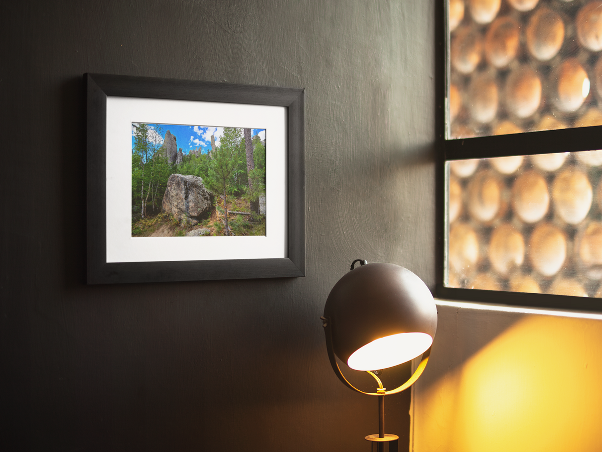 The Needles Custer State Park Photography Print | Black Hills Wall Art