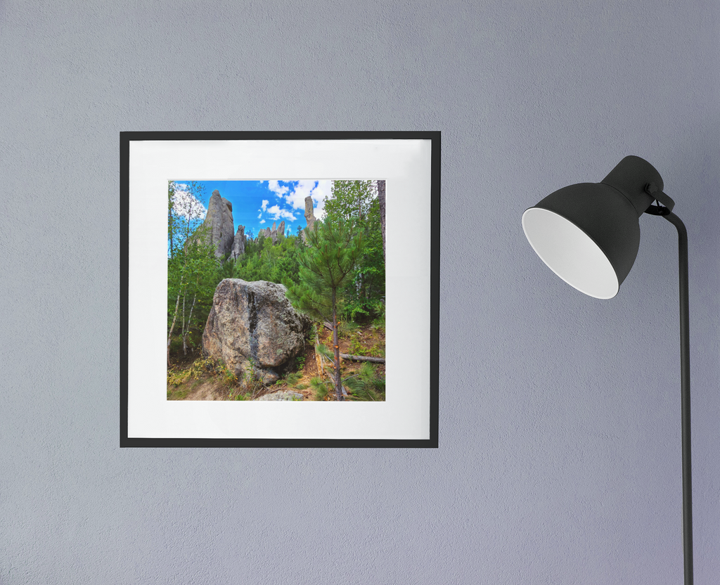 The Needles Custer State Park Photography Print | Black Hills Wall Art