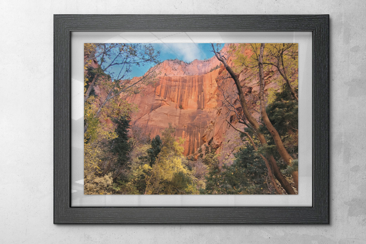 Zion National Park Red Rock Canyon Art Print