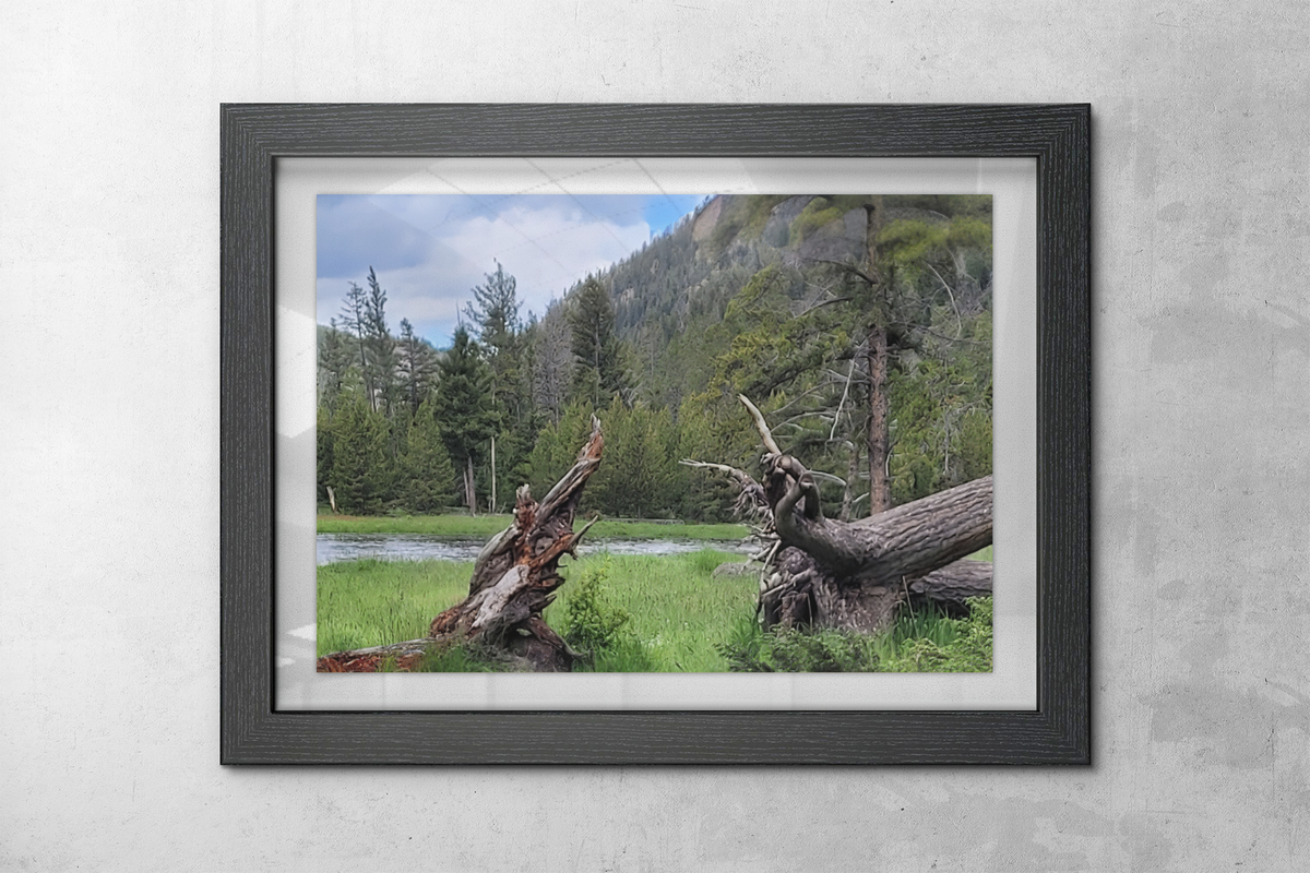 Yellowstone National Park Meadow & River Photo Print | Rustic Pine Forest & Fallen Tree Landscape Wall Art
