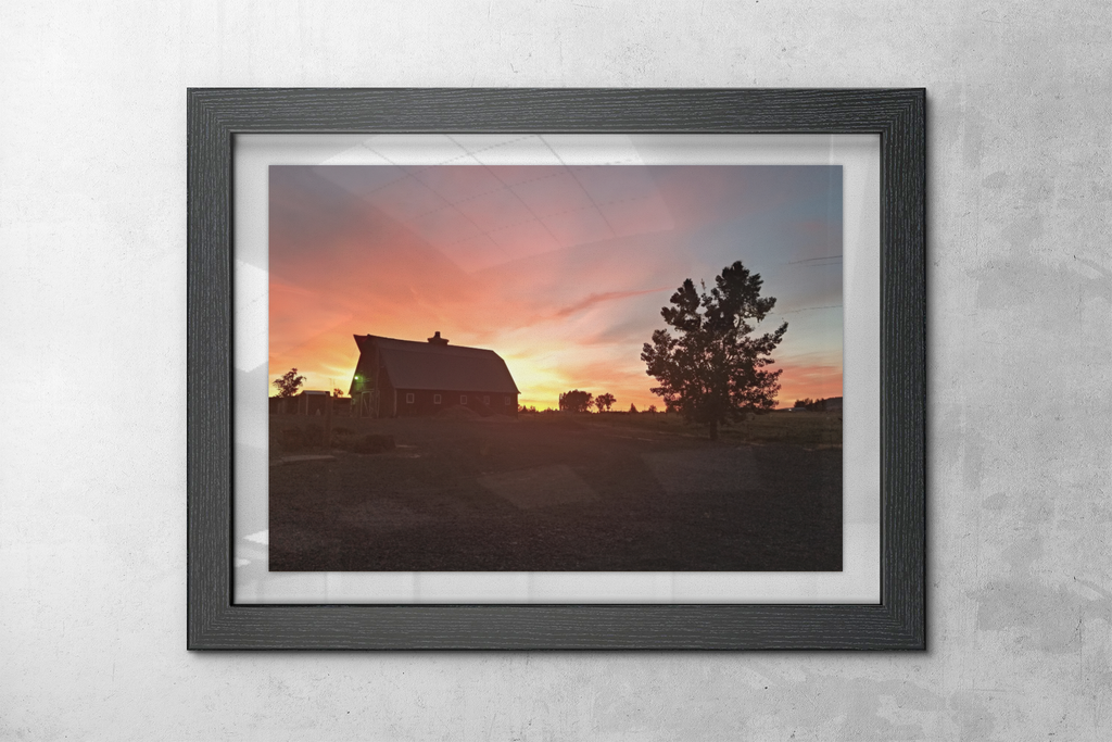 Golden Hour Rustic Barn Photography Print