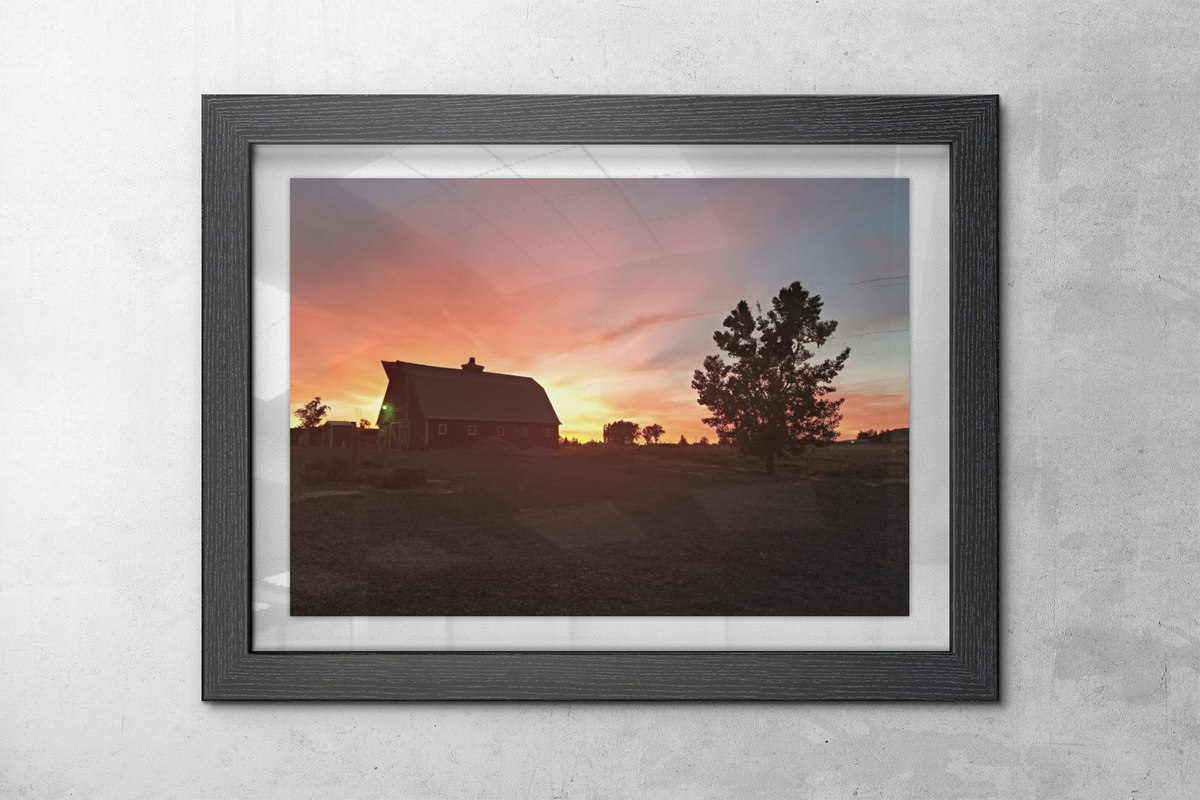 Golden Hour Rustic Barn Photography Print