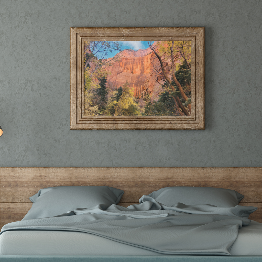 Zion National Park Red Rock Canyon Art Print