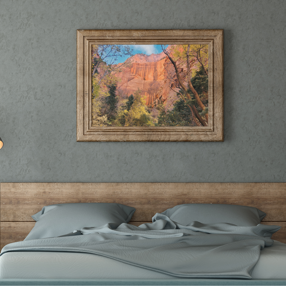 Zion National Park Red Rock Canyon Art Print