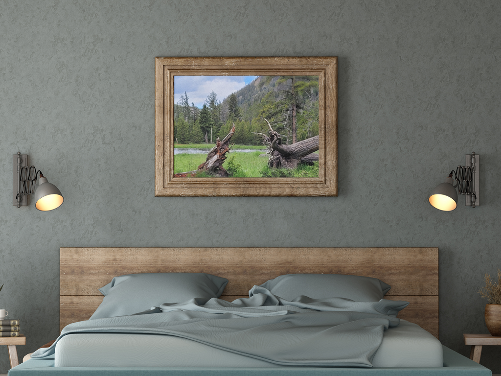 Yellowstone National Park Meadow & River Photo Print | Rustic Pine Forest & Fallen Tree Landscape Wall Art