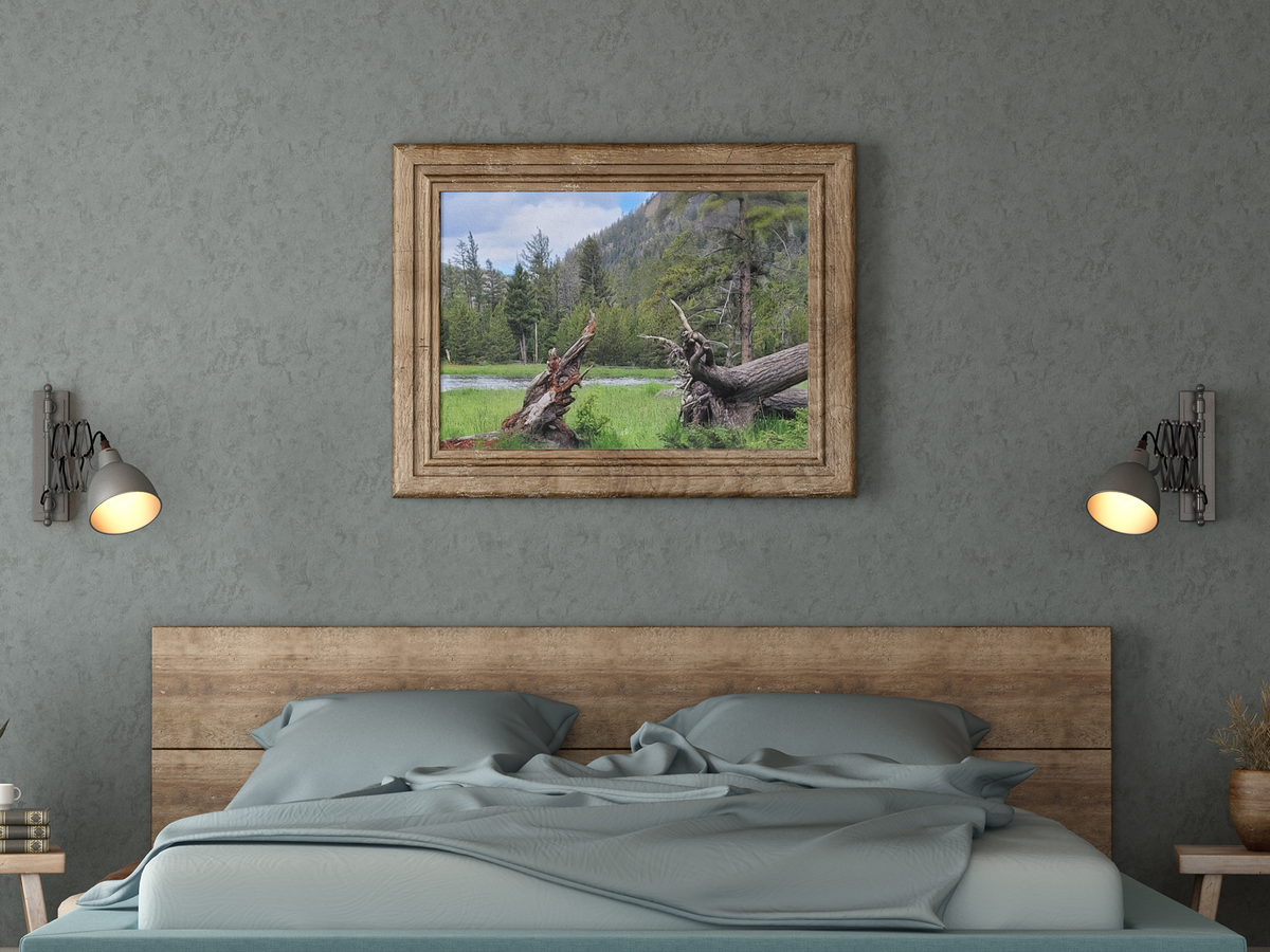 Yellowstone National Park Meadow & River Photo Print | Rustic Pine Forest & Fallen Tree Landscape Wall Art
