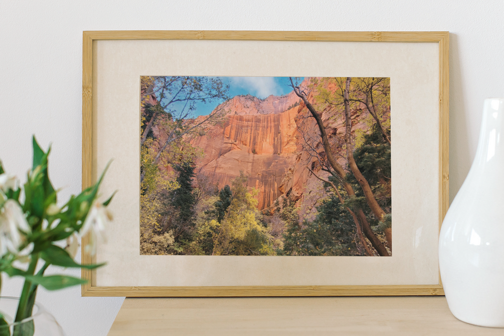 Zion National Park Red Rock Canyon Art Print