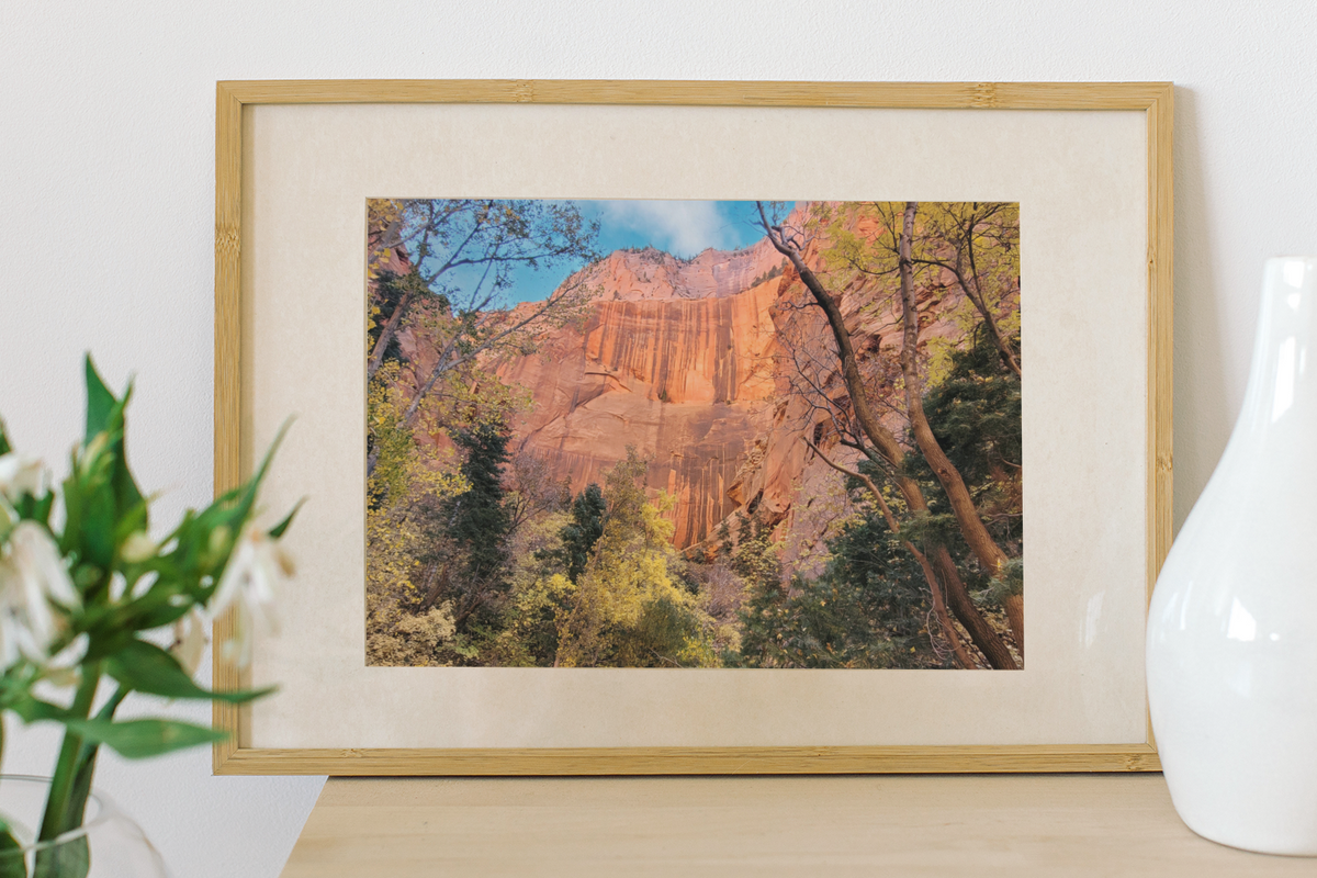 Zion National Park Red Rock Canyon Art Print