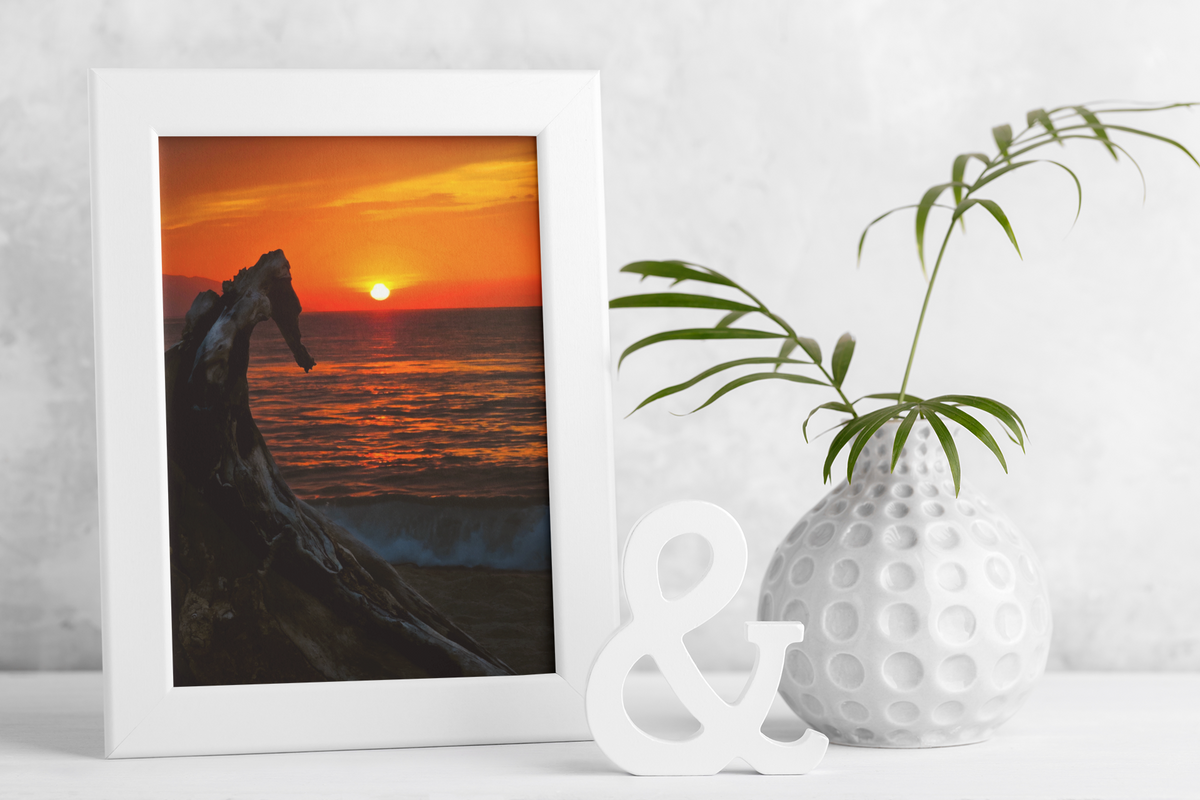 Fiery Sunset Ocean Driftwood Fine Art Print