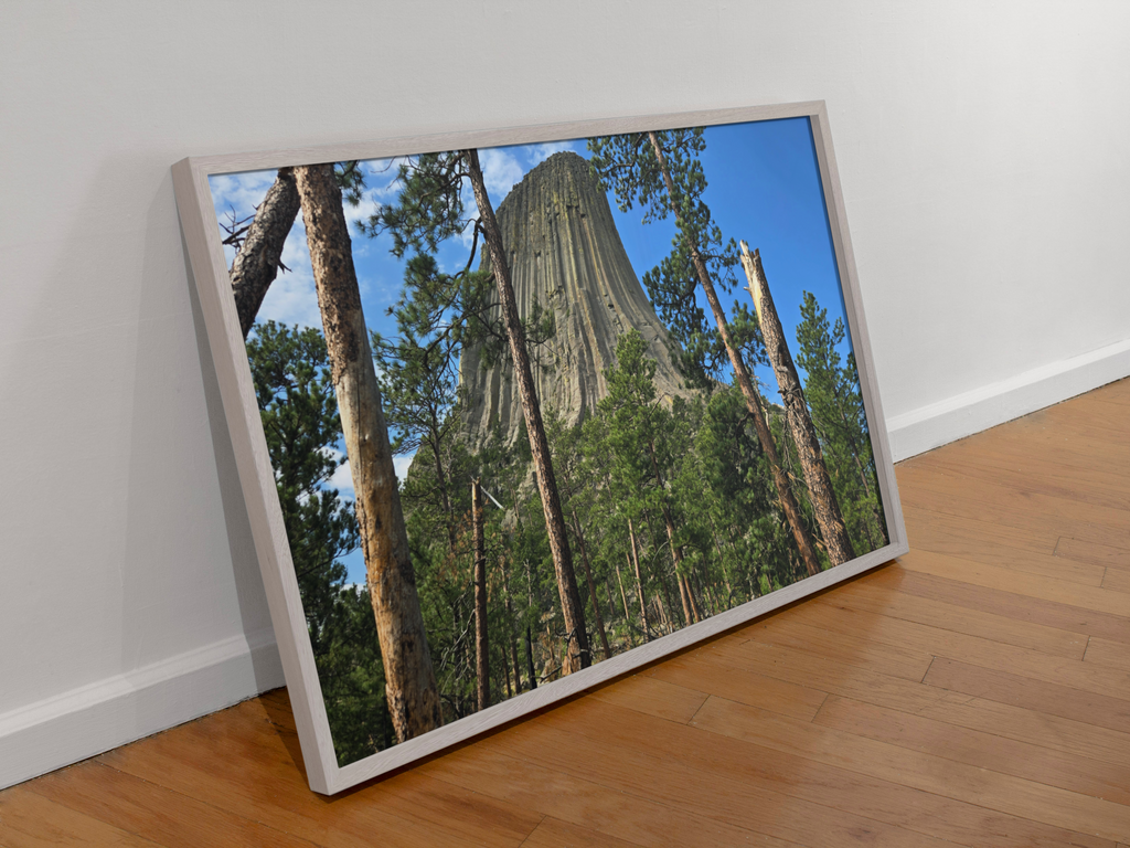 Devils Tower National Monument Photography Print | Wyoming Forest Landscape Wall Art